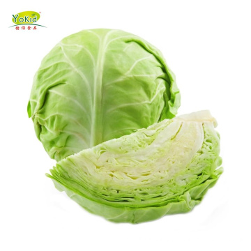 Bulk Chinese Mesh Bag Fresh White Round Cabbage Vegetable